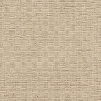 Woven Beige Texture