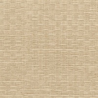 Woven Honey Texture