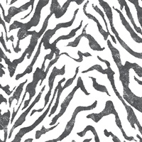 Zebra Stripes