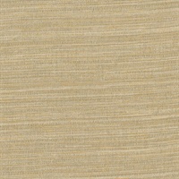 Zoster Copper Texture