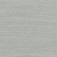 Zoster Grey Texture